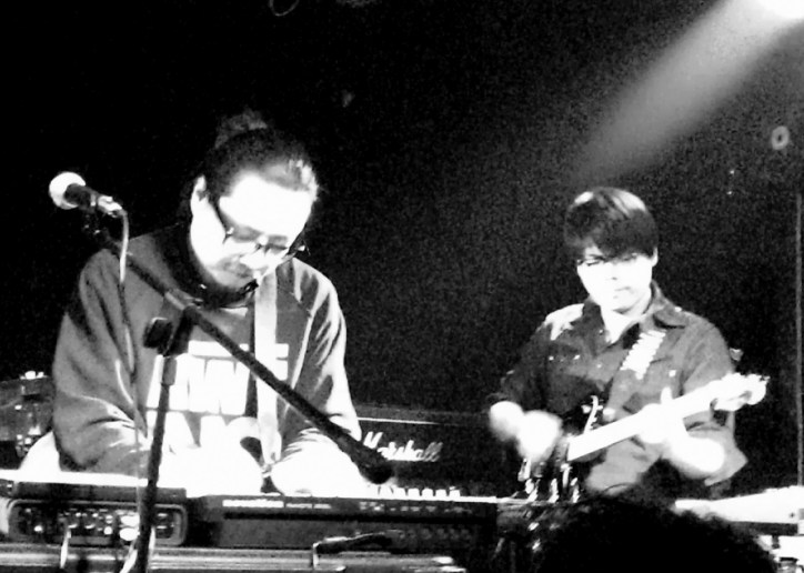 duck fight goose yyt 333013