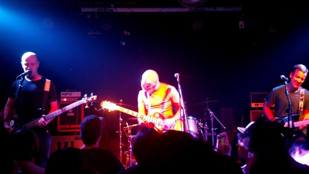 Stegosaurus YYT 062213