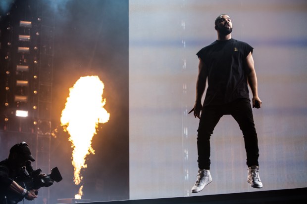 Drake by Cambria Harkey