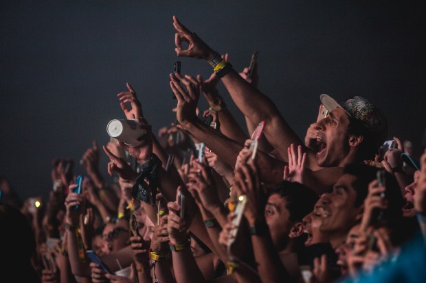 Crowd for Drake by Cambria Harkey