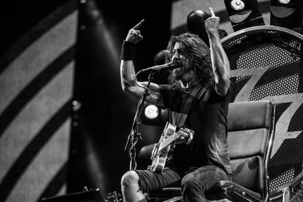 Foo Fighters by Cambria Harkey