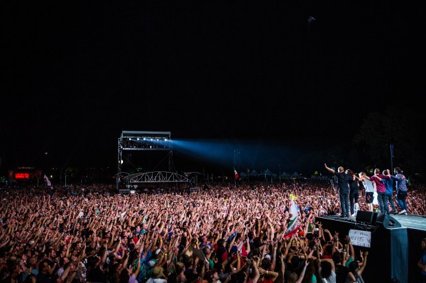 Foo Fighters by Cambria Harkey